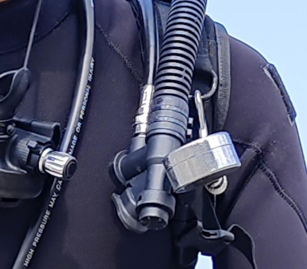 Hedgehog jacket BCD - Image 10