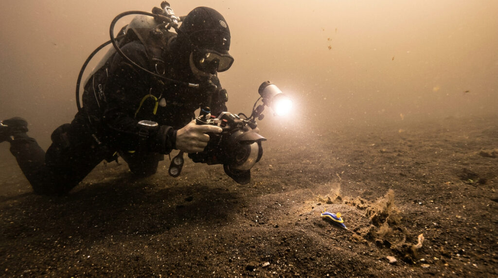 Diver photographing a nudibranch with an underwater camera and video light on black volcanic sand, Anilao muck diving